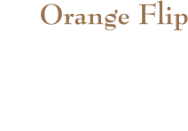 Orange Flip  Orangensaft und eine Kugel Vanilleeis   4,50 €